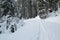 Swiss Winter - Path through snow