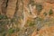 Switchbacks heading up a Canyon Trail