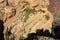 Switchbacks of Hiking Trail at Yaki Point, Grand Canyon National Park, Arizona