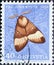 Switzerland - Circa 1952 : a postage stamp printed in the swiss showing an oak moth butterfly Lasiocampa quercus on oak leaf