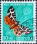 Switzerland - Circa 1954 : a postage stamp printed in the swiss showing a brown bear butterfly Arctia caja on dandelion