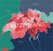 Switzerland country detailed editable map