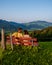 Switzerland countryside, Ebnat Kappel, Sankt-Gallen, Switzerland, couple man an woman looking at sunset outside there