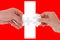 Switzerland flag, intergration of a multicultural group of young people