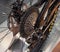 Switzerland; Geneva; March 9, 2019; A close up view of bicycle Freewheel Sprocket Cog Cassette.; The 89th International Motor Show