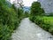 Switzerland, Lauterbrunnen, RIVER FLOWING AMIDST TREES IN FOREST