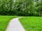 Switzerland, Lauterbrunnen, VIEW OF FOOTPATH ALONG TREES