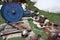 Swords, shields, helmets and armor on sale at the re-enactment of the Battle of Hastings in the UK