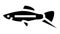 swordtail fish glyph icon animation