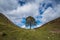 Sycamore Gap on Hadrians Wall