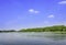 sycamore trees along The Xuanwu lake