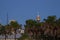 Sydney CBD skyscrapers and Sydney Tower seen from Pyrmont