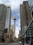Sydney city center: sky tower view