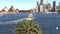 Sydney ferry leaves Kiribilli wharf towards the city.