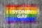 Sydney GAY and LGBT flag painted on background texture gray concrete