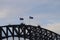 Sydney Harbor Bridge climbing by tourists