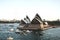 Sydney harbor with Opera House - panorama taken on 19 of February 2007 during Queen Elizabeth 2 cruise ship visit.