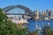 Sydney Harbour Bridge and Luna Park Sydney with leaves from Wendy Secret Garden visible in foreground