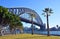 Sydney Harbour Bridge & Palm Trees from Dawes Point Park