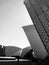 Sydney opera house roof tiles close up in black and white, Australia