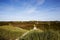 Sylt (Germany) - Sand dune at Puan Klent