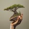 Symbiosis of Life: Small Tree Embraced by the Gentle Human Hand