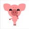 Symbol of 2019. Cute vector pig. Piggy thinks. White background. Flat design. Vector.