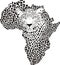 Symbol Africa in leopard camouflage