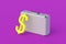 Symbol of dollar near metal suitcase. The state budget. Corruption in the government