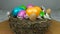The symbol of Easter dyed and painted colored eggs are in the nest, concept of Resurrection Sunday or Christian feast