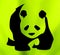 Symbol of giant panda