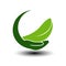Symbol of green energy. Circular natural element with leaf and hand. Nature icon.