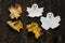 Symbol Halloween - ghost and maple leaves