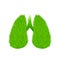 Symbol of healthy lungs, from green grass. World Tuberculosis Day. Vector illustration