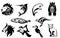 Symbol images of various animals such as lion sailfish manatee rhino Flounder kangaroo flying squirrel hornbill cat
