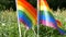 Symbol of LGBT Gay lesbian transgender queer rights, activism love equality and freedom rainbow flags on the grass lawn