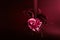 Symbol of love and passion. Glass, fiery, red heart, heart on a dark background.