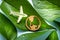 symbol of modern air transport, Electric airplane, airplane and earth icon on green leaves background, environmental and business