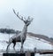 The symbol of Nizhny Novgorod is the Deer Sculpture.