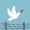 Symbol peace white dove flies over the barbed wire