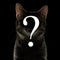 Symbol Question Silhouette of Cat Black background