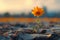 Symbol of resilience Hopeful flower blooms amidst arid soil