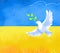 Symbolic antiwar art with white dove flying on blue sky and yellow wheat field  Ukrainian flag like background