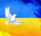 Symbolic antiwar art with white dove flying on blue and yellow Ukrainian flag background