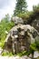 symbolic cemetery in Vysoke Tatry & x28;High Tatras& x29;, Slovakia