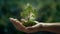 Symbolic green tree in a human hand on blurred background. Respect for nature, sustainable energy, care for the