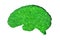 Symbolic Human Brain: Green Grass on White Background