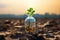 Symbolic image, Green tree, plastic bottle, cracked earth highlight climate change