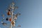 Symbolic local Bodrum decorations on dry tree under clear blue sky.