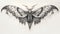 Symbolic Mothman: Intricate Pencil Drawing By Dj Thorhildros